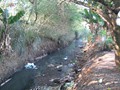 RM Soluções - 016