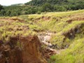 Projetos Recuperação Ambiental - 001