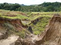 Projetos Recuperação Ambiental - 004